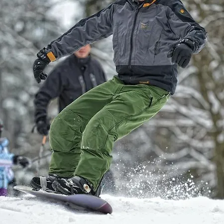 بيت ضيافة Berggasthof Waldlust 3*