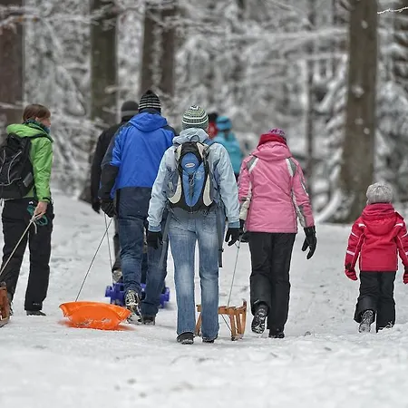 Berggasthof Waldlust 3*